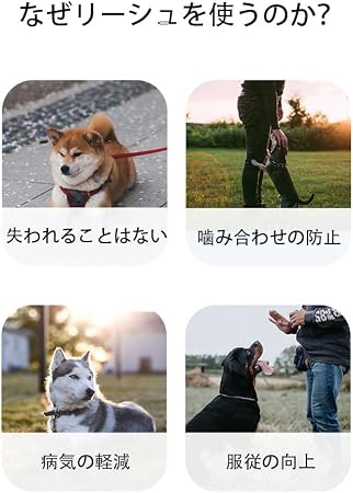 FlexWalk™ - フレックスウォーク™